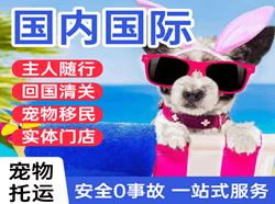 南宁吴圩空运代理国际宠物托运 【国